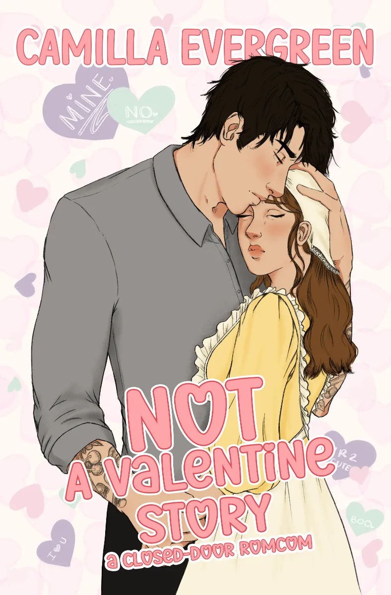 Cover of NOT a Valentine Story