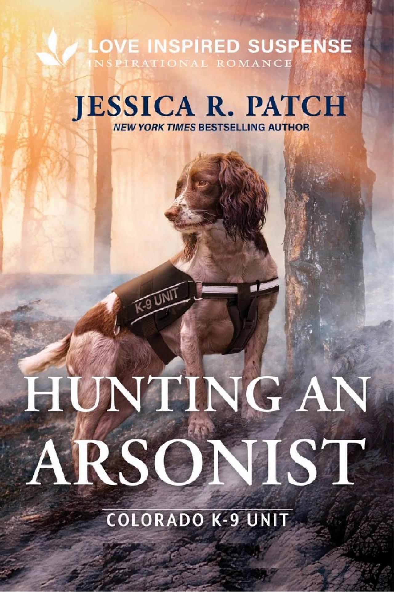 Cover of Hunting an Arsonist